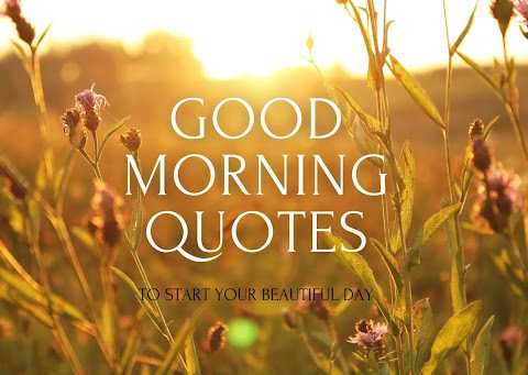 51 Inspirational Good Morning Quotes With Images