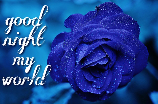 Good night images with flowers
